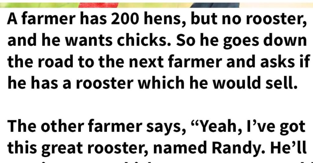 The farmer receives a new rooster that is better than what he expected.